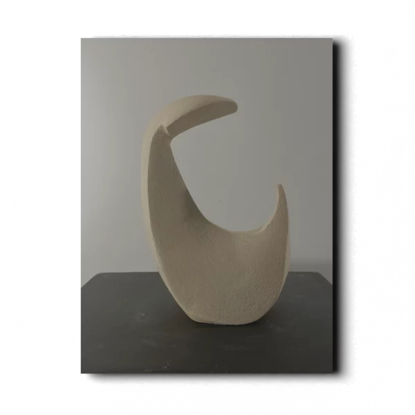 READER - Image 2